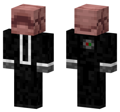 Agent Armadillo Minecraft Bedrock skin