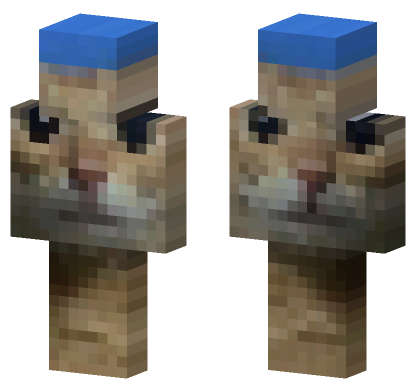 Cat 1 Minecraft Bedrock skin
