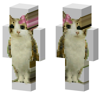 Cat 1 Minecraft Bedrock skin