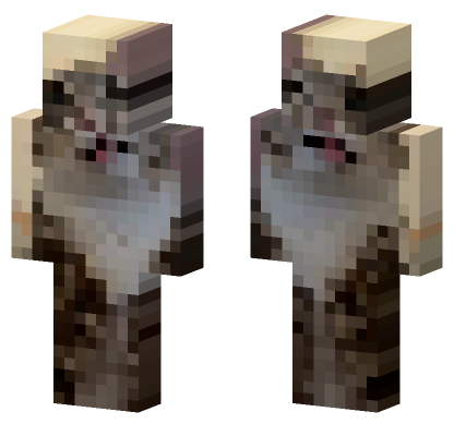 Cat 10 Minecraft Bedrock skin