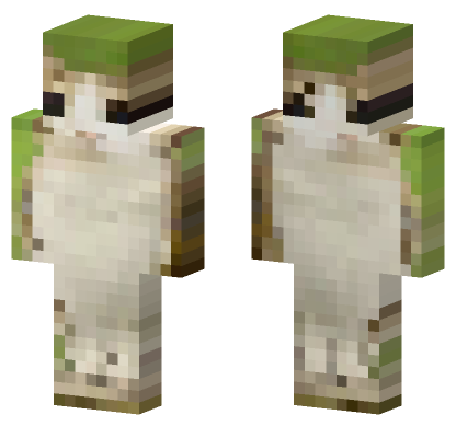 Cat 13 Minecraft Bedrock skin