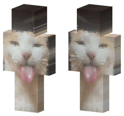 Cat 14 Minecraft Bedrock skin