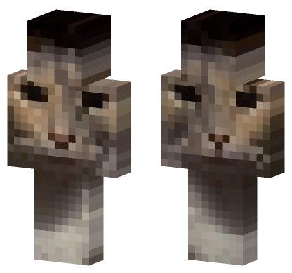 Cat 17 Minecraft Bedrock skin