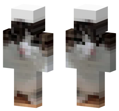 Cat 18 Minecraft Bedrock skin