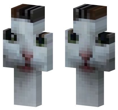 Cat 19 Minecraft Bedrock skin