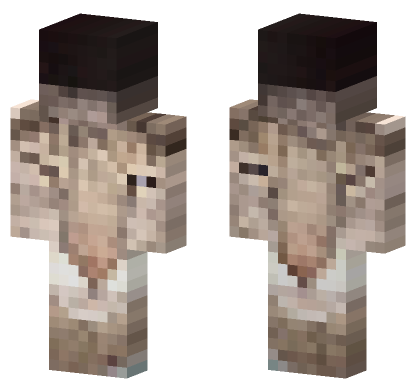 Cat 20 Minecraft Bedrock skin