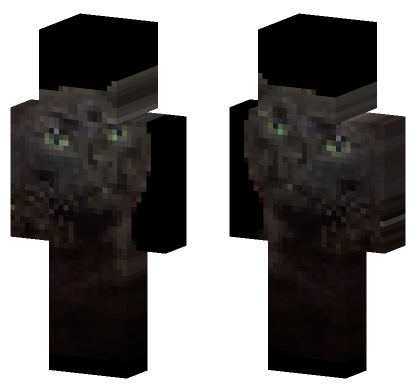 Cat 21 Minecraft Bedrock skin