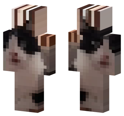 Cat 21 Minecraft Bedrock skin