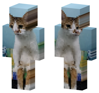 Cat 22 Minecraft Bedrock skin