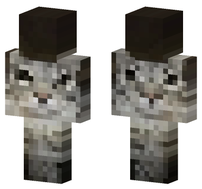 Cat 22 Minecraft Bedrock skin