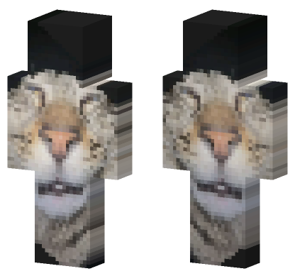 Cat 23 Minecraft Bedrock skin