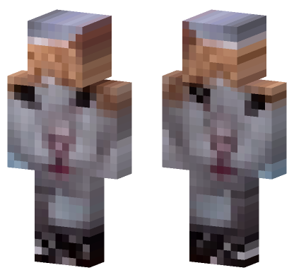 Cat 25 Minecraft Bedrock skin