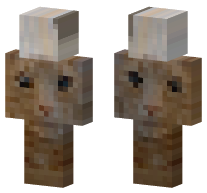 Cat 26 Minecraft Bedrock skin