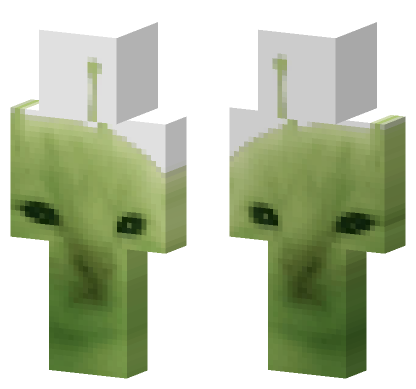 Cat 6 Minecraft Bedrock skin