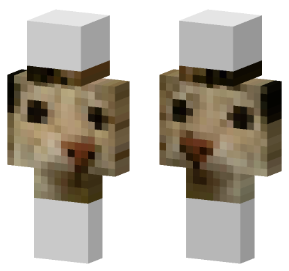 Cat 7 Minecraft Bedrock skin