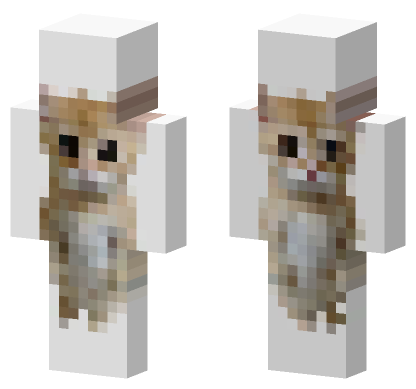 Cat Skin Minecraft Bedrock skin