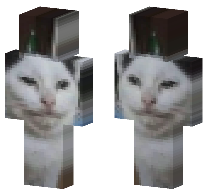 Cat Skin Minecraft Bedrock skin