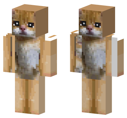 Cute Realistic Kitten Skin Minecraft Bedrock skin