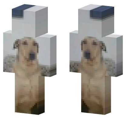 Dog 15 Minecraft Bedrock skin