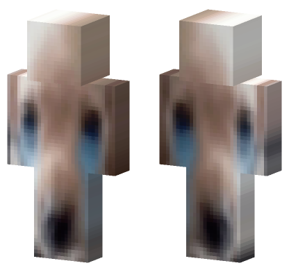 Dog 8 Minecraft Bedrock skin