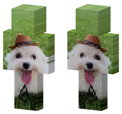 Dog With Hat Minecraft Bedrock skin