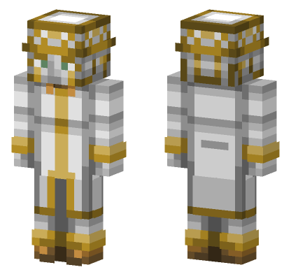 Heaven S Door Minecraft Bedrock skin
