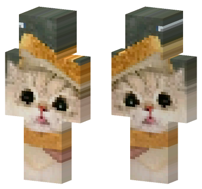 Meme Kitty Minecraft Bedrock skin