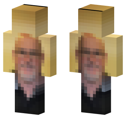 Random 42 Minecraft Bedrock skin