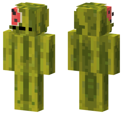Watermelon Slice Skin Minecraft Bedrock skin